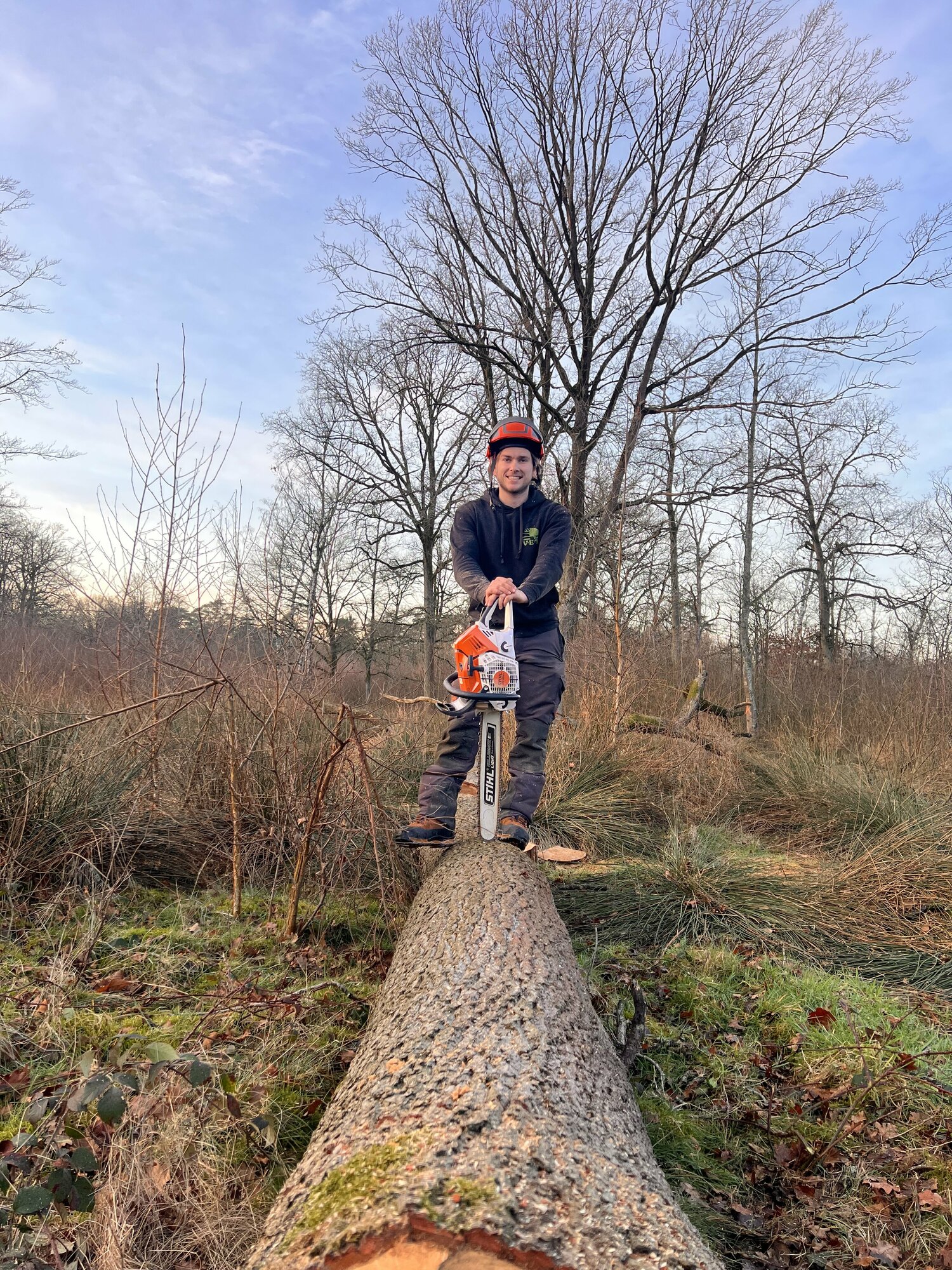 Velling van Quercus Robur