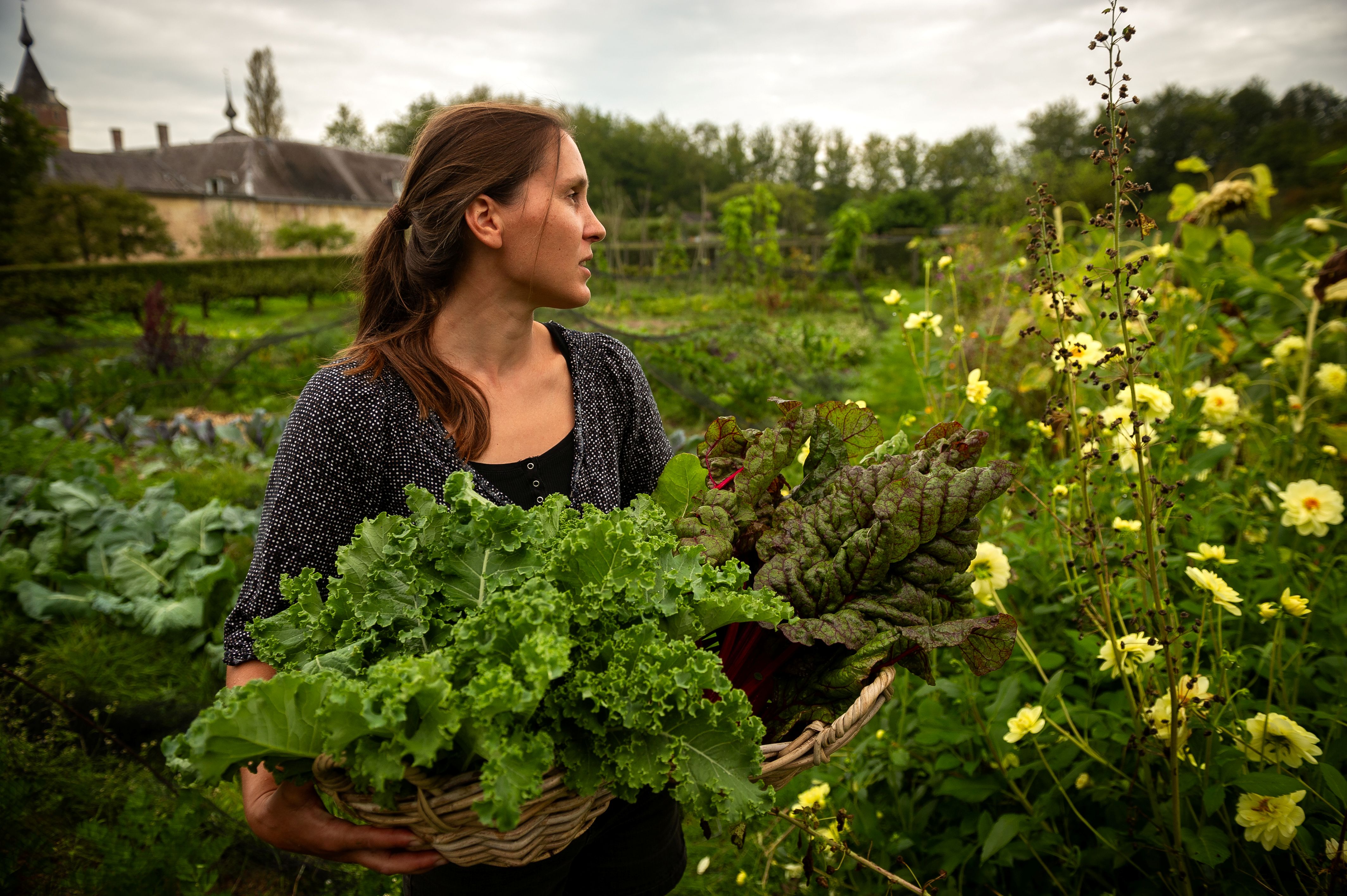 Ontwerp van ecologische en eetbare tuinen