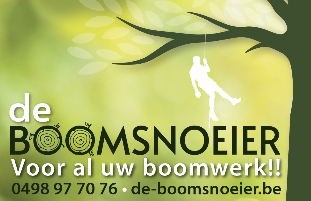 Voor al uw boomwerk, kan u bij ons terecht!