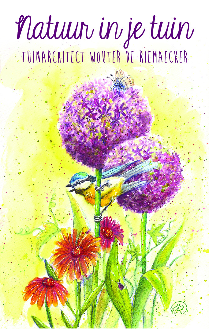 Natuur in je tuin , aantrekkelijk voor bijen en vlinders en zoveel meer ....