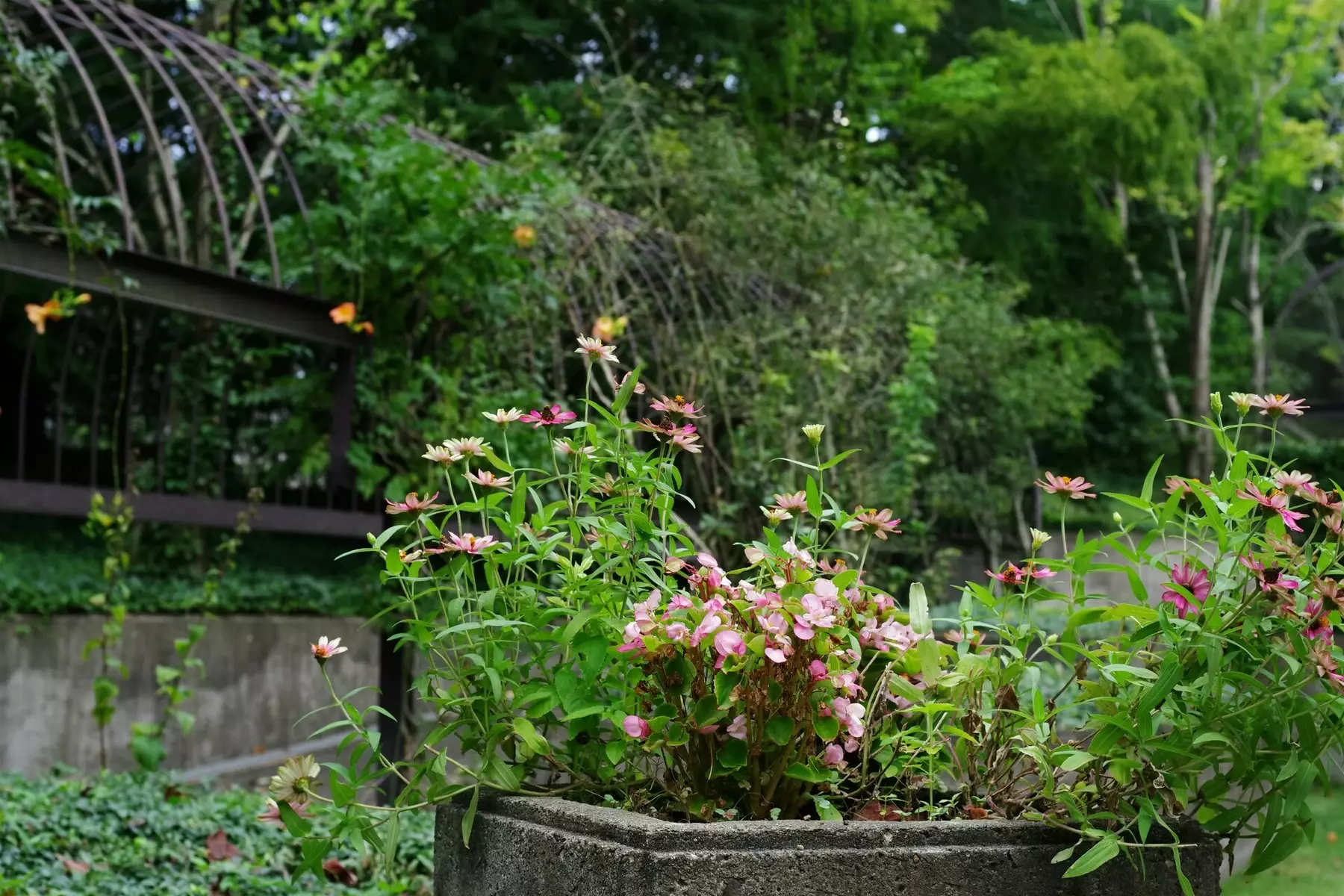 Permacultuur in je tuin - Tuinaannemer.be