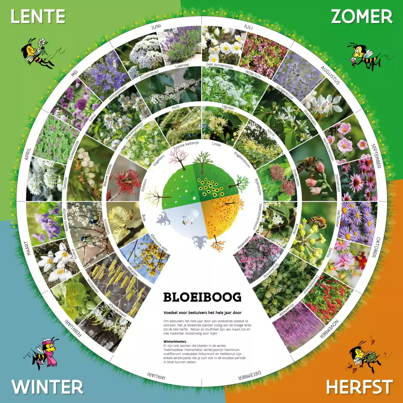 Bloeiboog - Tuinaannemer.be