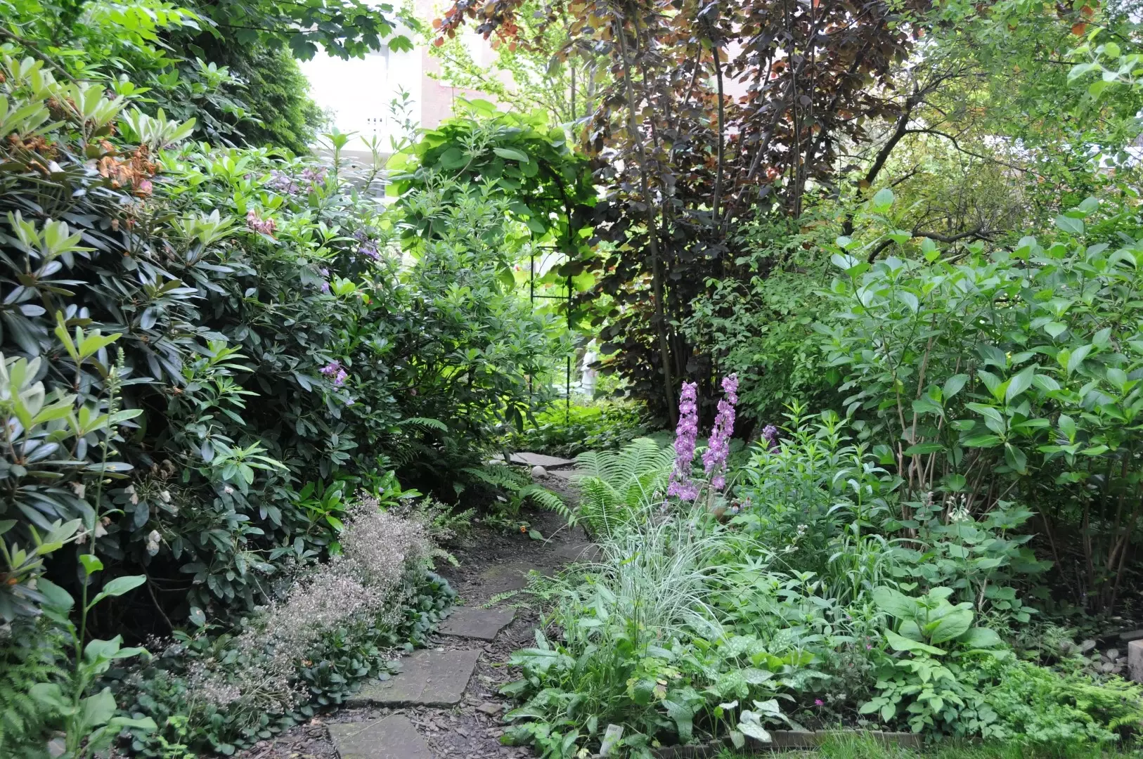 Tuin in de schaduw