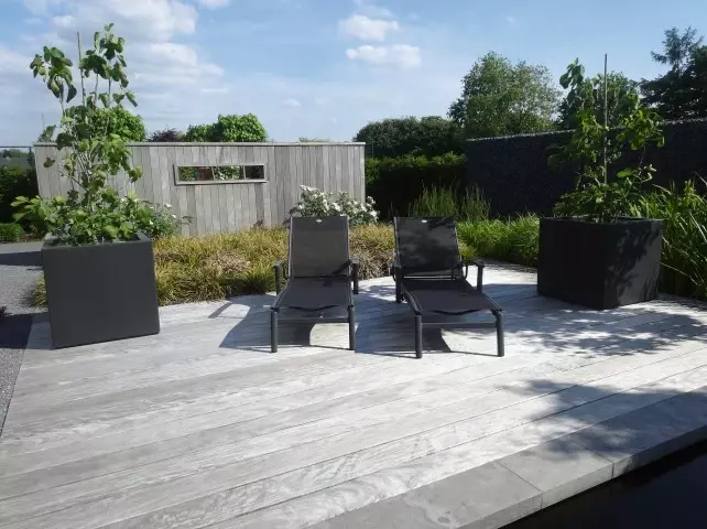 Tuinontwerp met koivijver - Tuinaannemer.be