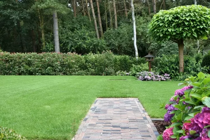 Moderne tuin voor grootouders - Tuinaannemer.be