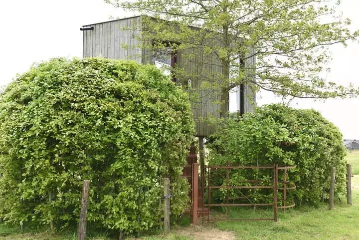 Van Droom tot Tuin - Tuin met of voor dieren - Tuinaannemer.be