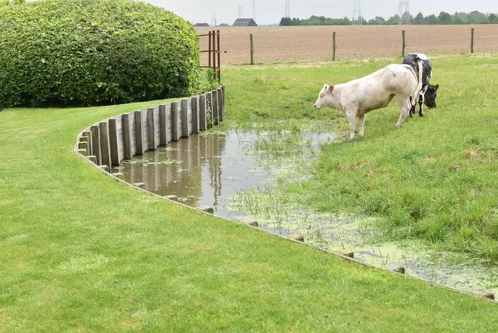 Van Droom tot Tuin - Tuin met of voor dieren - Tuinaannemer.be