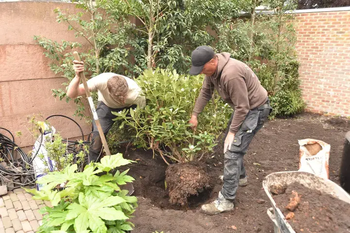 Van Droom tot Tuin - Helemaal in het nieuw - Tuinaannemer.be 
