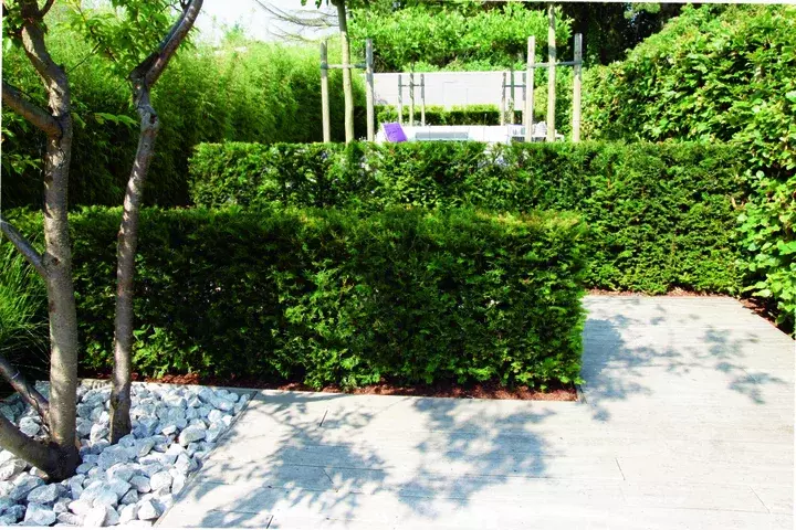 Moderne tuin aanleggen - Tuinaannemer.be