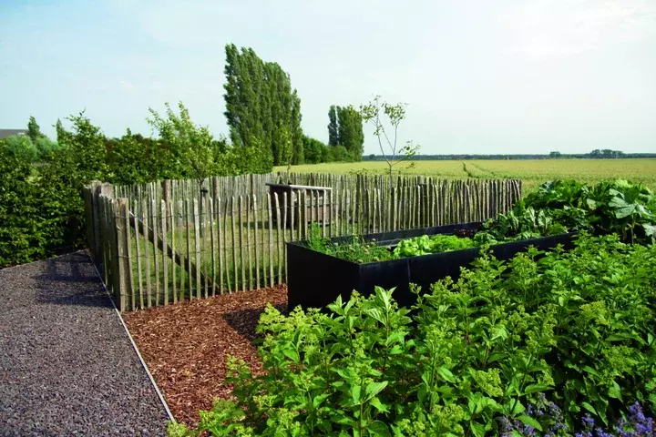 Duurzaam tuinontwerp in poldergrond - Tuinaannemer.be