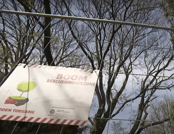 European Tree Worker boombeschermingszone - Tuinaannemer.be