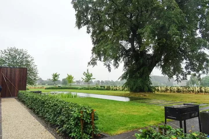 Tuin met zwemvijver ontwerpen - Tuinaannemer.be