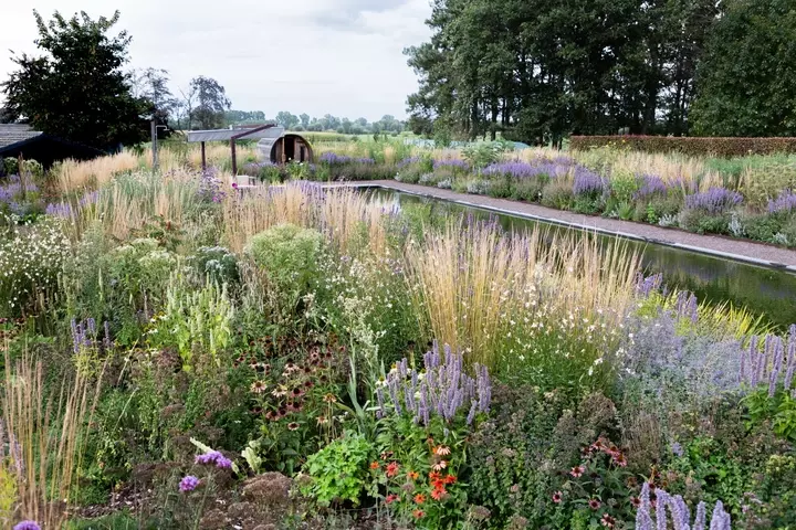 Prairietuin
