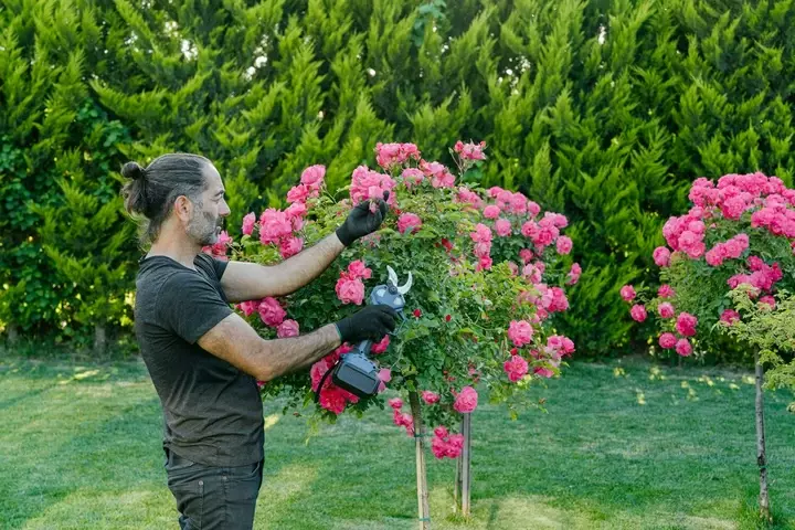 Seizoensgebonden tuinonderhoud - Tuinaannemer.be