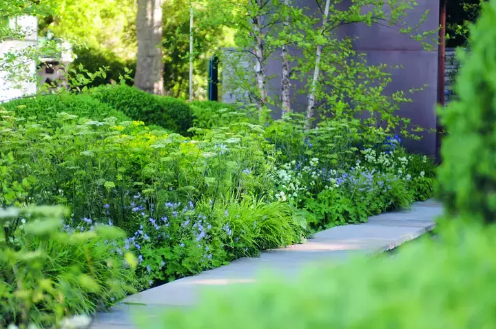 Sponstuin - Stuiken en vaste planten