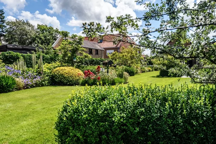 Landelijke tuin