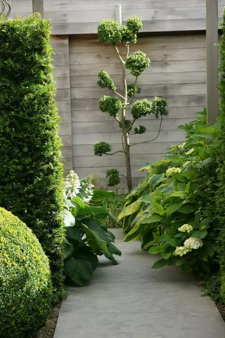 Zonnige en schaduwrijke tuinzones - Tuinaannemer.be