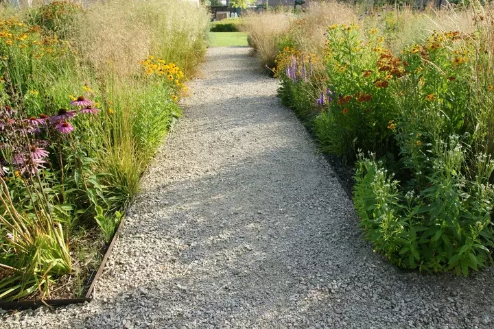 Prairietuin aanleggen - Tuinaannemer.be