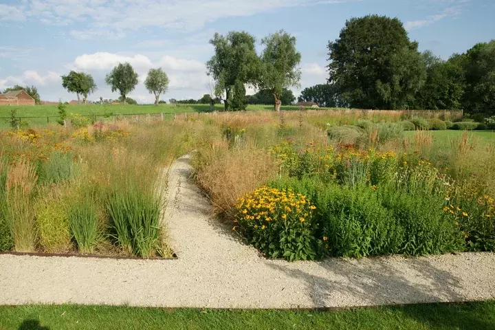 Prairietuin aanleggen - Tuinaannemer.be