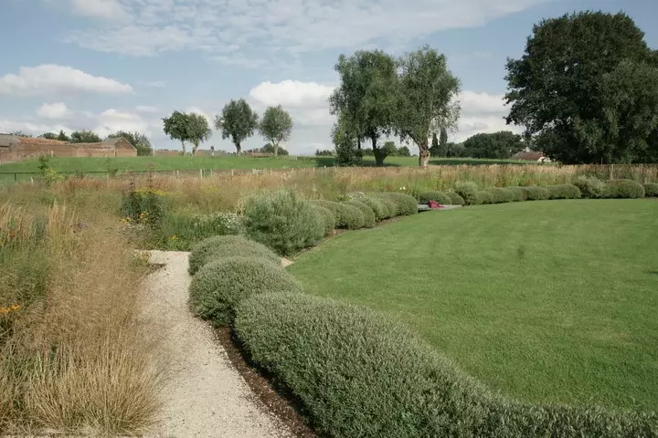Prairietuin aanleggen - Tuinaannemer.be
