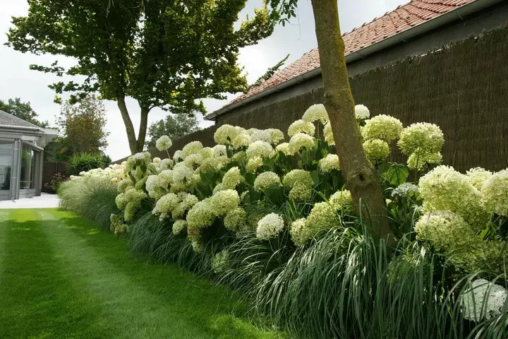 Onderhoudsvriendelijke moderne tuin - Tuinaannemer.be
