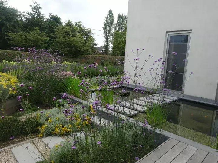 Kruidentuin voortuin - Tuinaannemer.be
