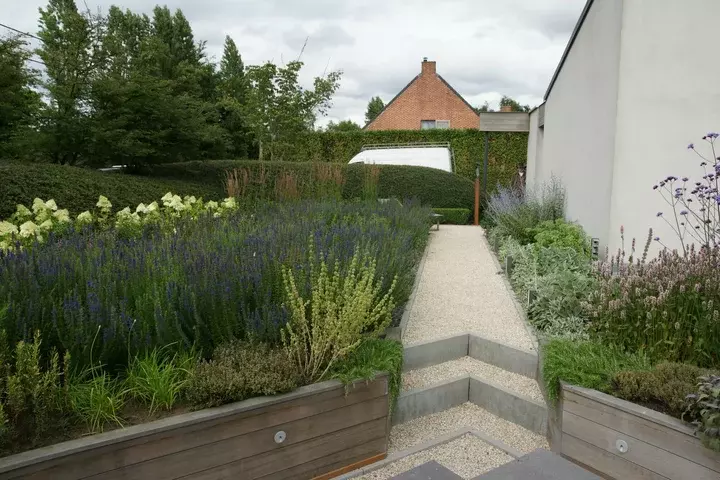 Kruidentuin voortuin - Tuinaannemer.be