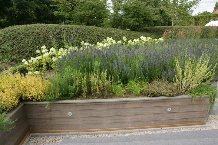 Kruidentuin voortuin - Tuinaannemer.be