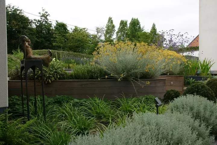 Kruidentuin voortuin - Tuinaannemer.be