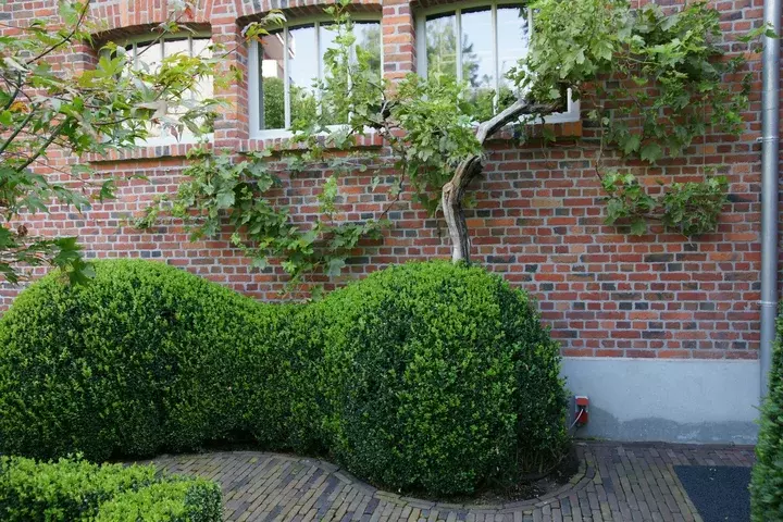 Landelijk tuinontwerp - Tuinaannemer.be