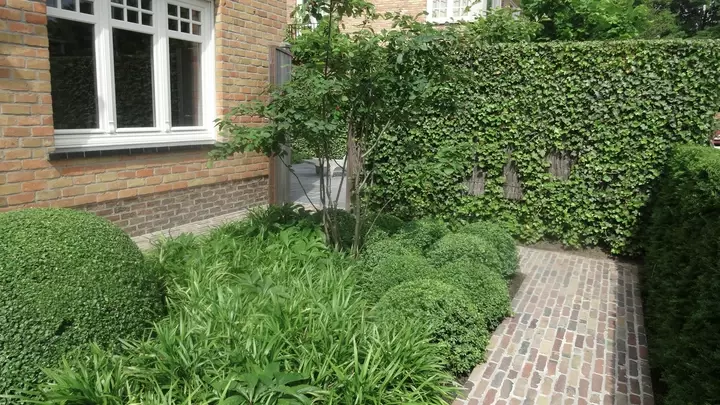 Zonneterrastuin - Tuinaannemer.be