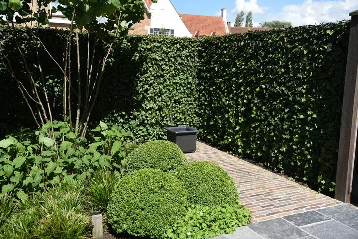 Zonneterrastuin - Tuinaannemer.be