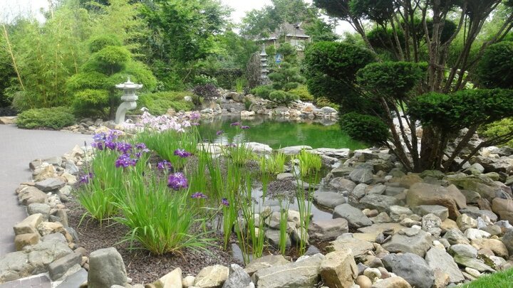 Japanse tuin