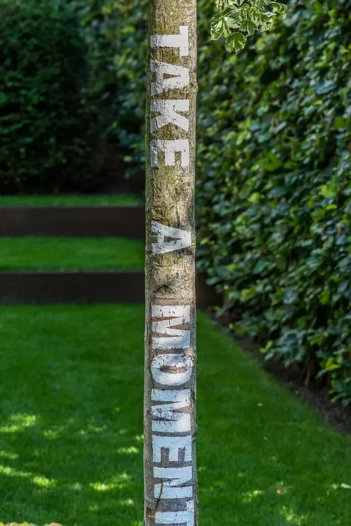 Tuin met speelruimte ontwerpen - Tuinaannemer.be