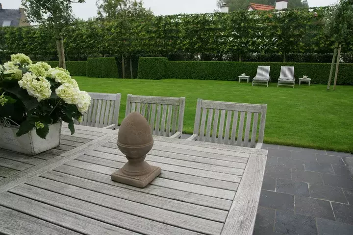 Duintuin aanleggen - Tuinaannemer.be
