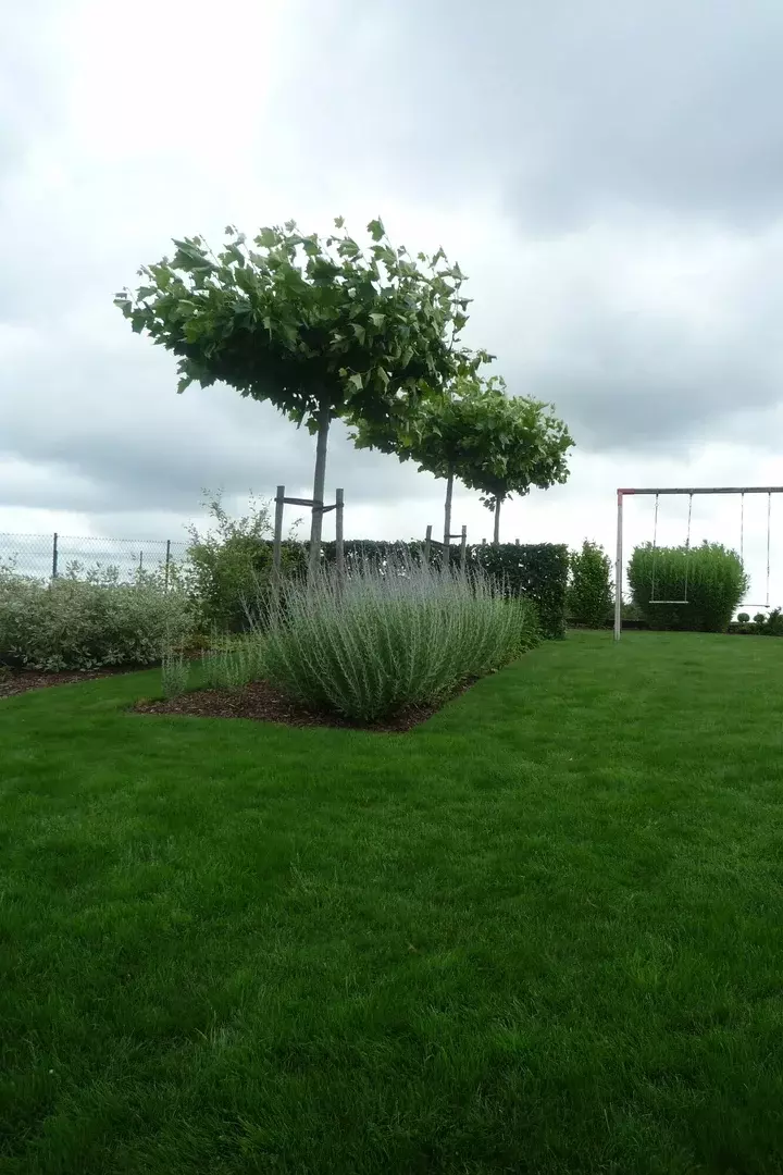 Strakke tuin met niveauverschillen - Tuinaannemer.be