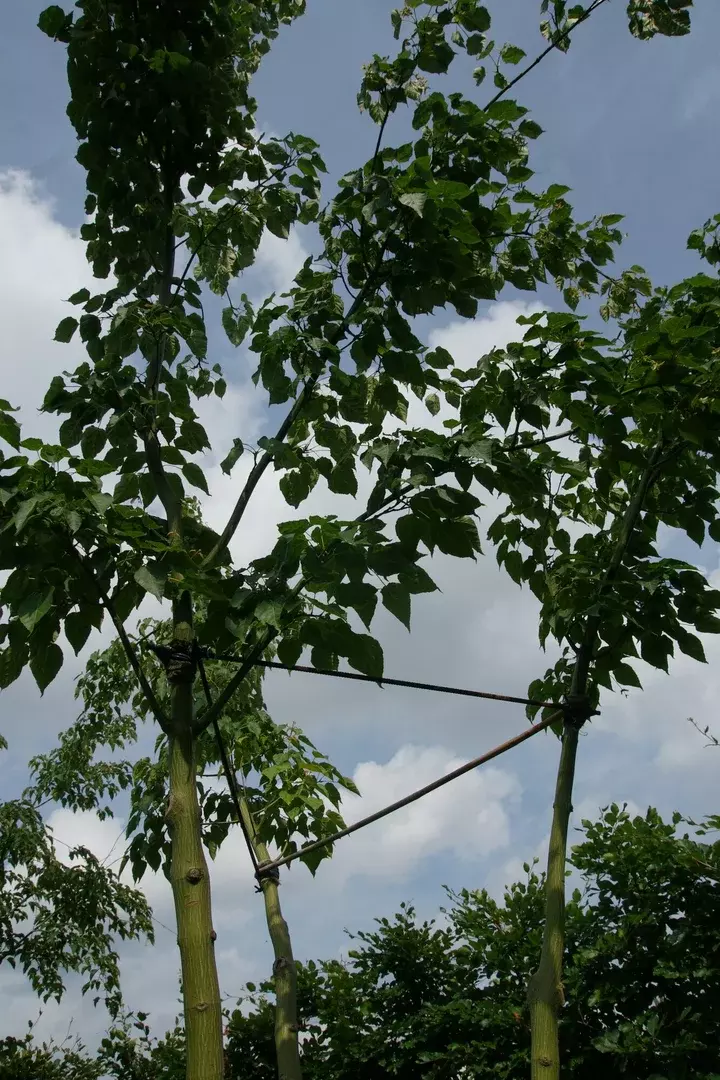 Tuin met hoogteverschillen - Tuinaannemer.be