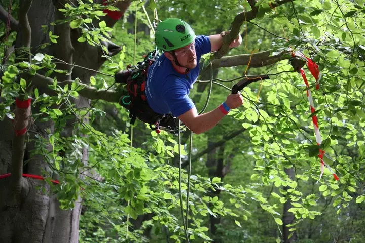 Tree worker - boomverzorging - Tuinaannemer.be
