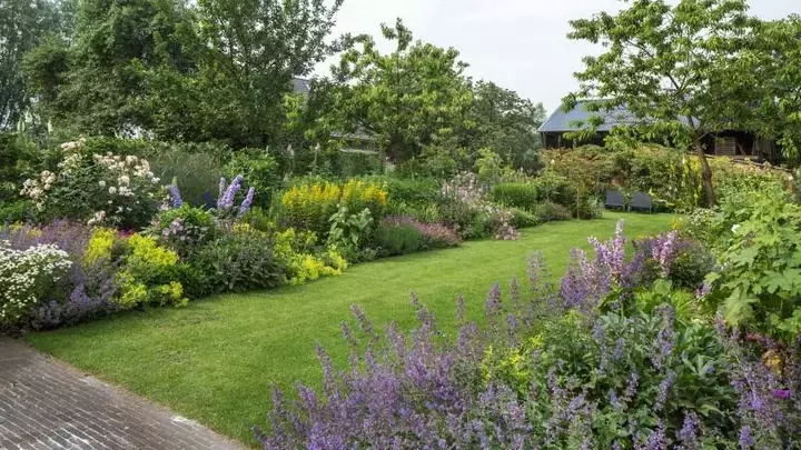 Droogtepreventie bij plantenborders
