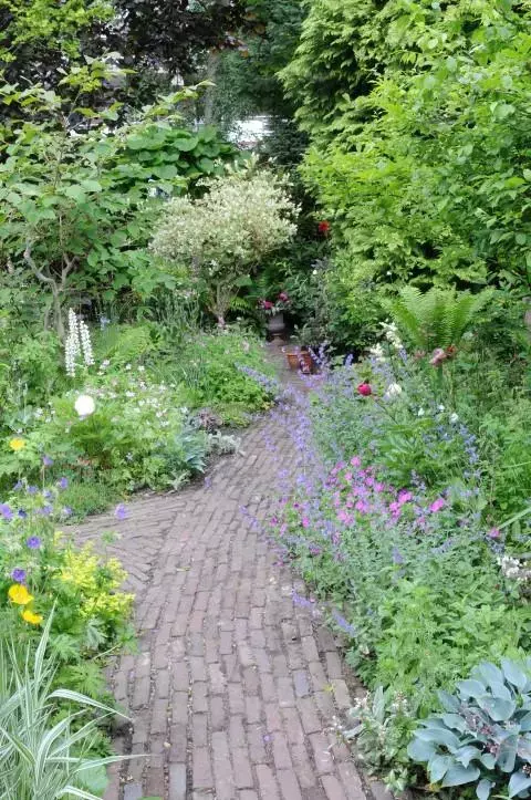 Terras in de schaduw