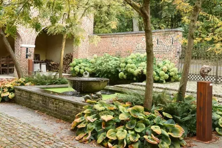 Schaduwterras: Hosta onderaan