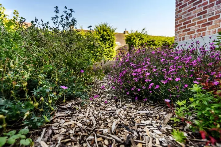 Onderhoudsvriendelijke tuin - Bodem bedekken met schors