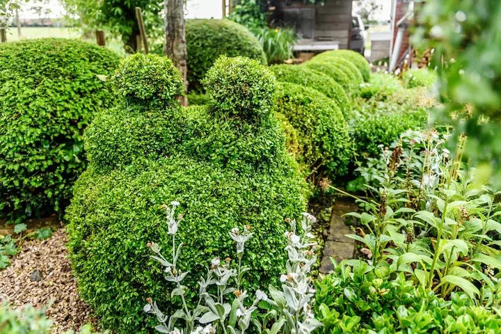 Kindvriendelijke tuin aanleggen - Tuinaannemer.be