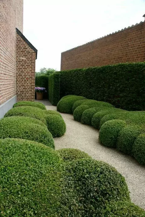 Tuin aanleggen op kleigrond - Tuinaannemer.be
