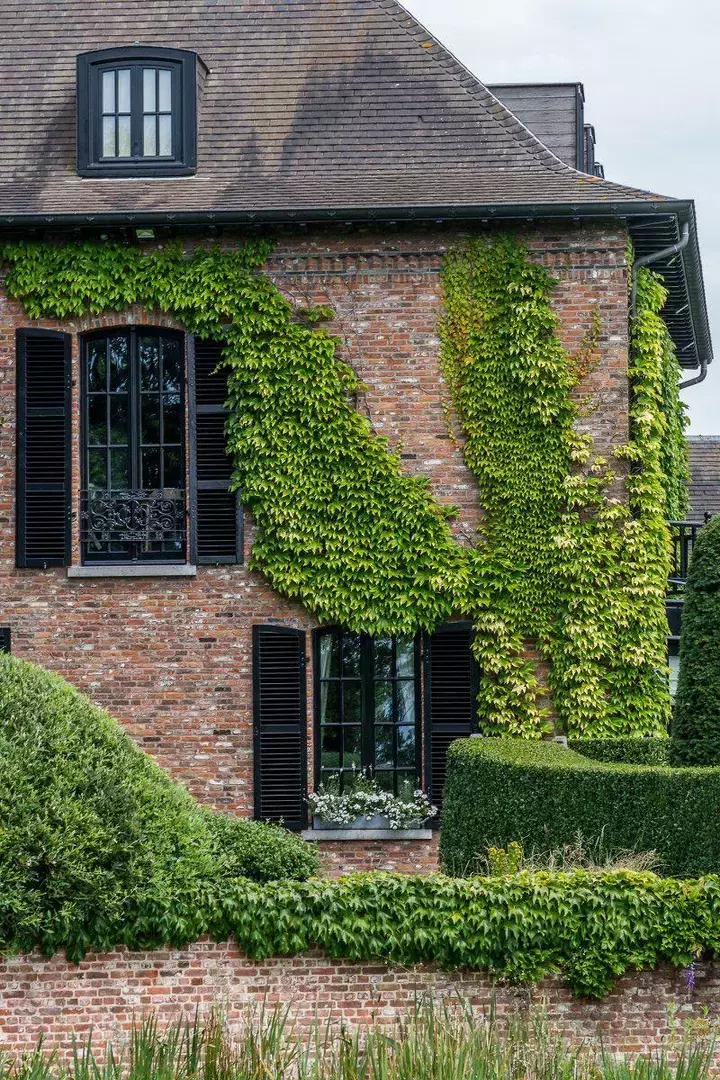 Groene gevel