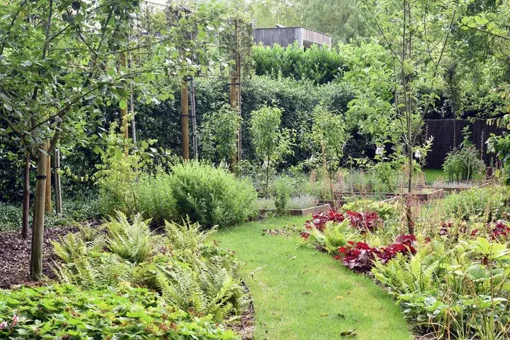 Van Droom tot Tuin
