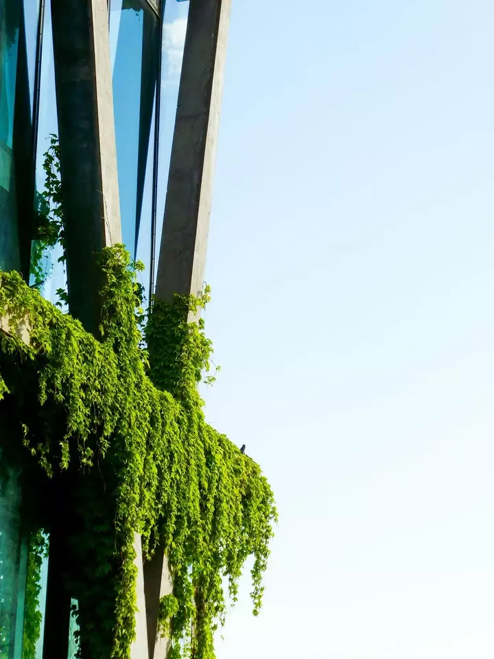 Groene bedrijfsentree - Tuinaannemer.be