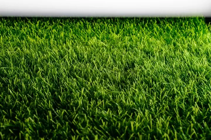Kunstgras onderhoud - Tuinaannemer.be