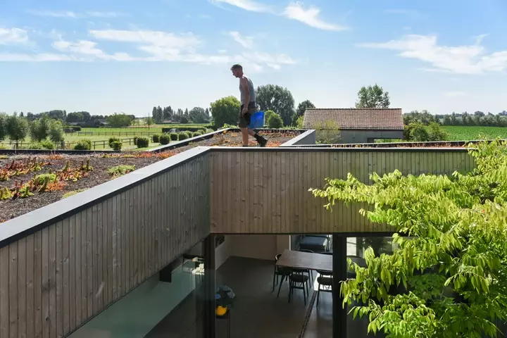 Natuurlijke tuin met bloemenweide - Tuinaannemer.be