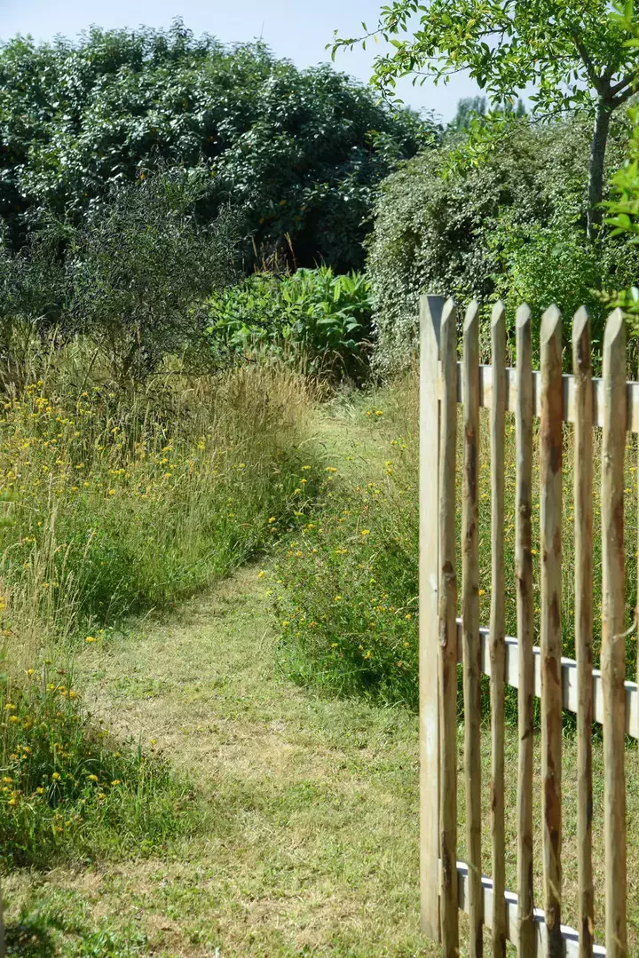 Natuurlijke tuin met bloemenweide - Tuinaannemer.be